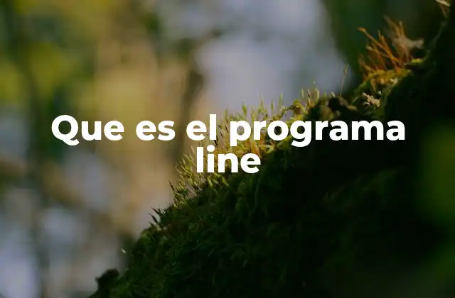 Que es el Programa Line