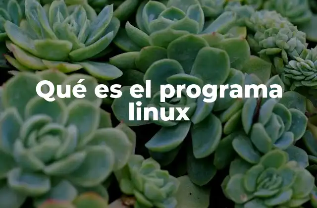 Qué es el Programa Linux