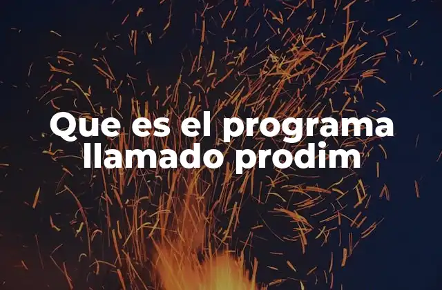 Que es el Programa Llamado Prodim