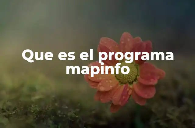 Que es el Programa Mapinfo