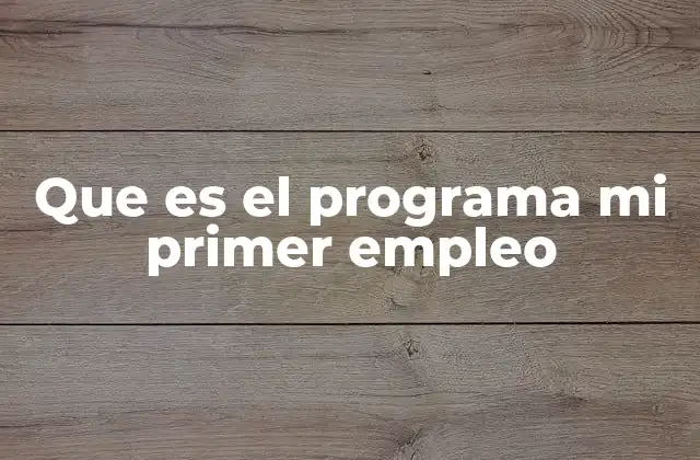 Que es el Programa Mi Primer Empleo 2 Cómo el Programa Mi Primer Empleo transforma el mercado laboral