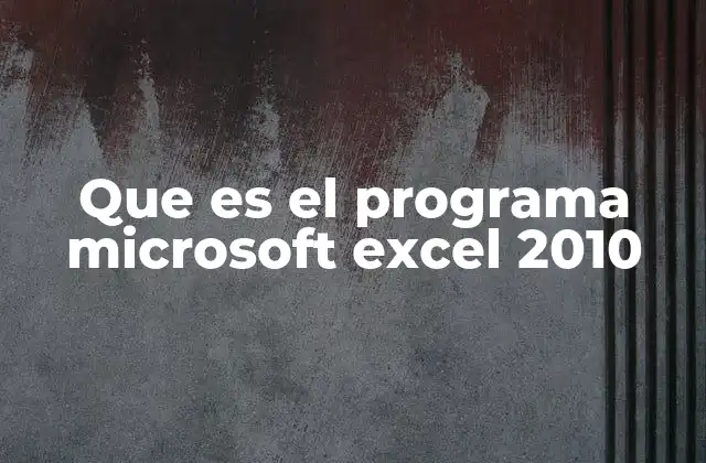 Que es el Programa Microsoft Excel 2010