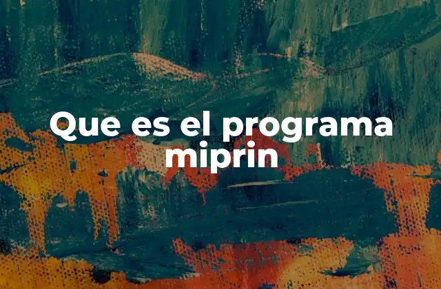 Que es el Programa Miprin