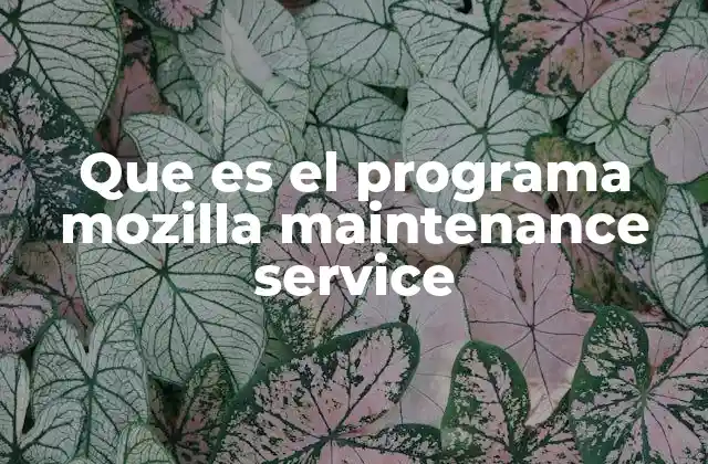 Que es el Programa Mozilla Maintenance Service 2 Cómo funciona el servicio de mantenimiento de Mozilla