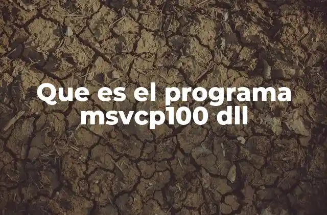 Que es el Programa Msvcp100 Dll