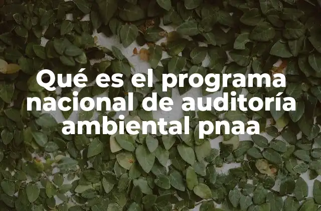Qué es el Programa Nacional de Auditoría Ambiental Pnaa