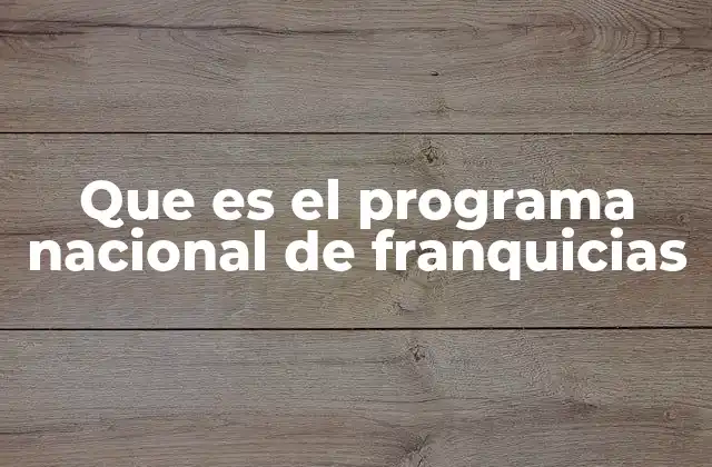 Que es el Programa Nacional de Franquicias 2 Un modelo de negocio con apoyo estatal