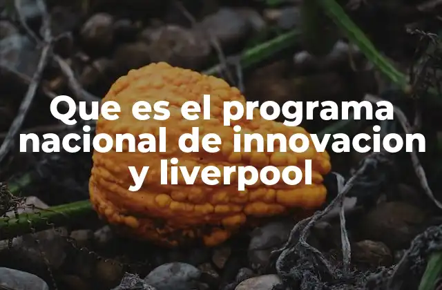 Que es el Programa Nacional de Innovacion y Liverpool
