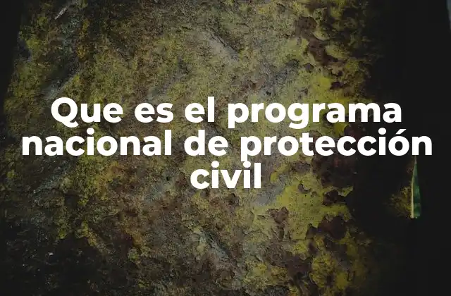 Que es el Programa Nacional de Protección Civil