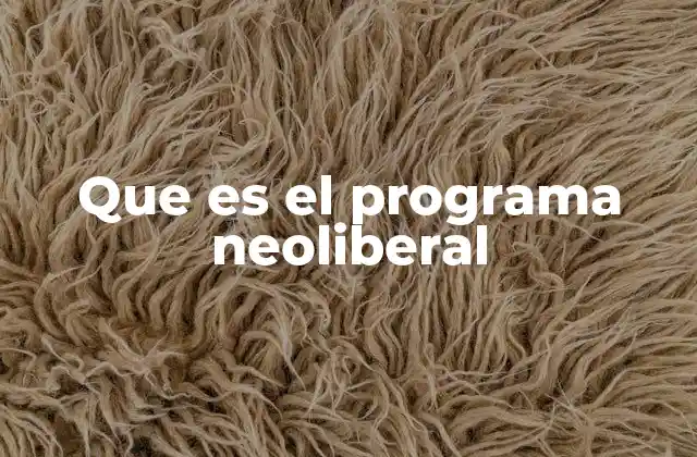 Que es el Programa Neoliberal