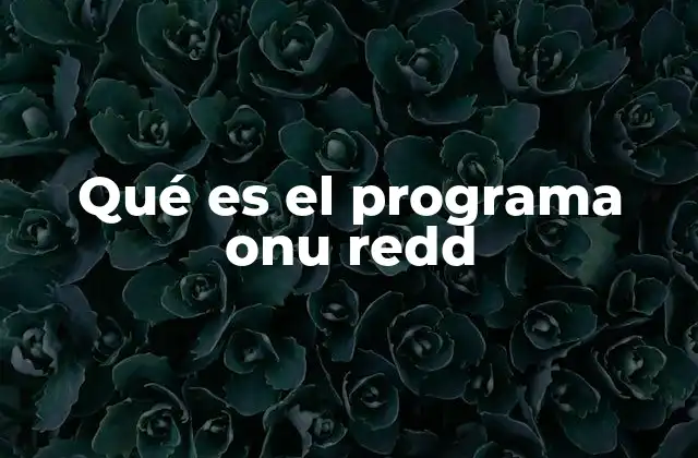 Qué es el Programa Onu Redd 2 La importancia de los bosques en la lucha contra el cambio climático