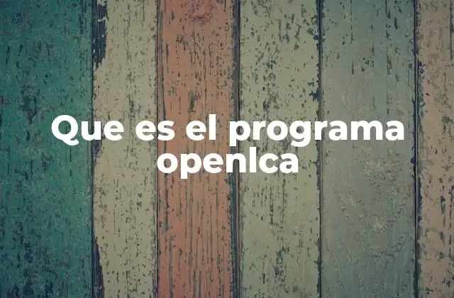 Que es el Programa Openlca