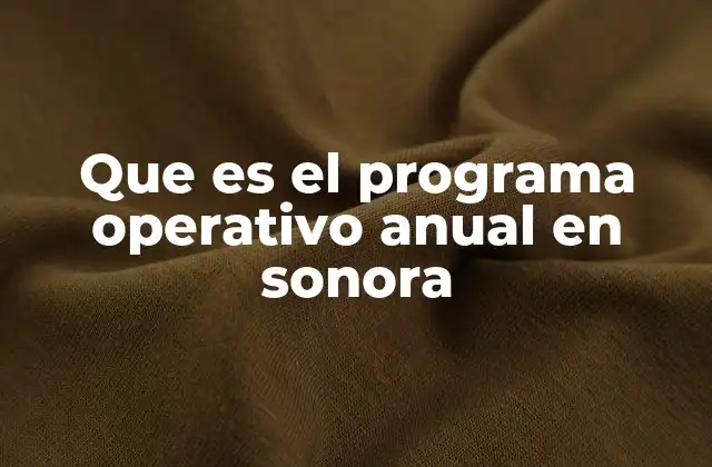 Que es el Programa Operativo Anual en Sonora
