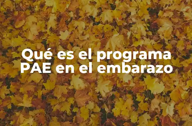 Qué es el Programa Pae en el Embarazo