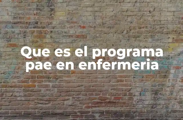 Que es el Programa Pae en Enfermeria