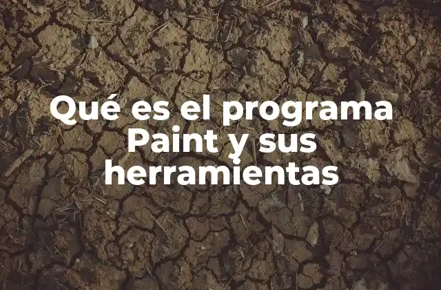 Qué es el Programa Paint y Sus Herramientas