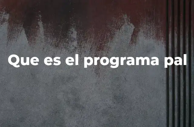 Que es el Programa Pal 2 Apoyo integral a las familias en situación de vulnerabilidad