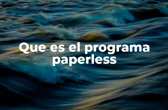 Que es el Programa Paperless