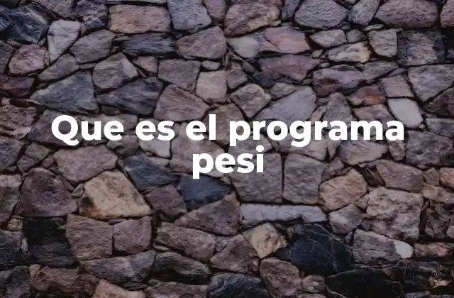 Que es el Programa Pesi