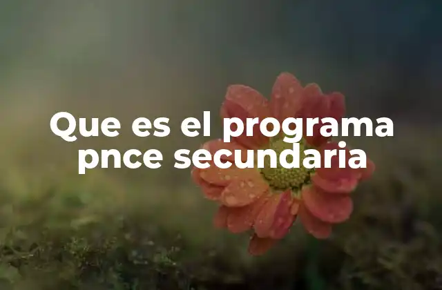 Que es el Programa Pnce Secundaria