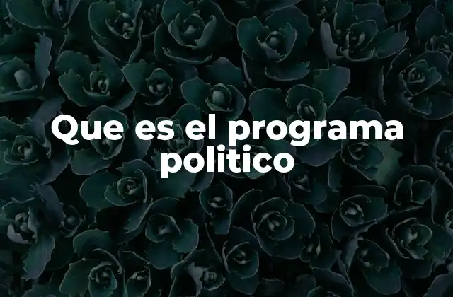 Que es el Programa Politico