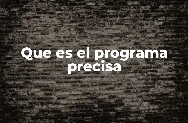 Que es el Programa Precisa