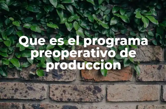 Que es el Programa Preoperativo de Produccion
