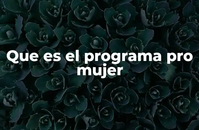 Que es el Programa Pro Mujer