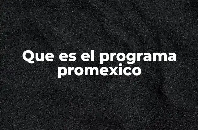 Que es el Programa Promexico