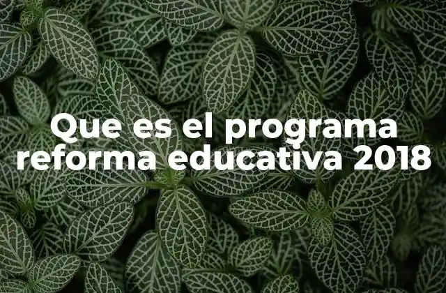 Que es el Programa Reforma Educativa 2018