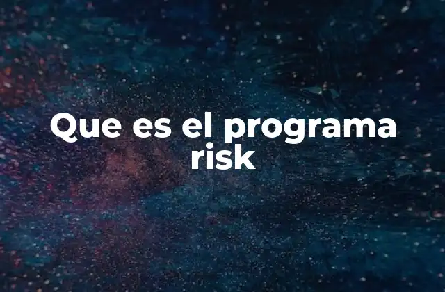 Que es el Programa Risk