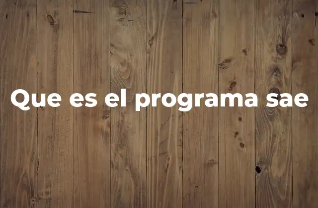 Que es el Programa Sae