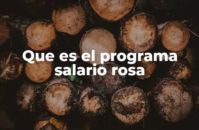 Que es el Programa Salario Rosa