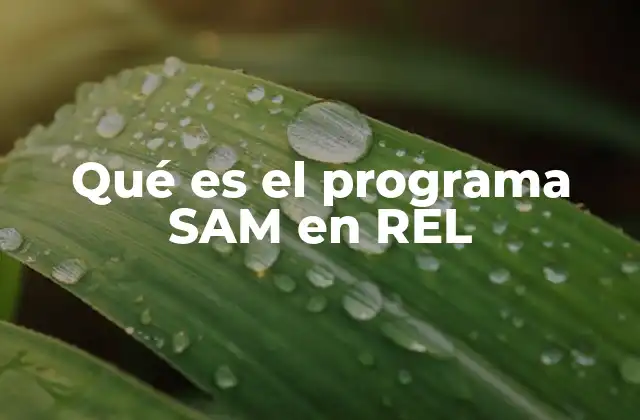 La importancia de las REL en la implementación del programa SAM