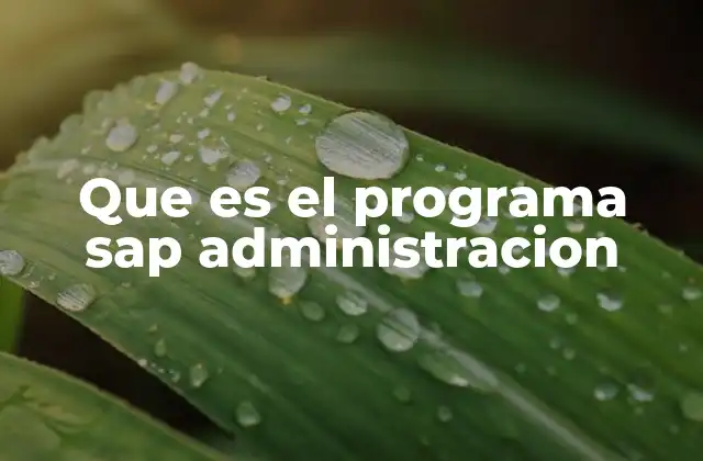 Que es el Programa Sap Administracion