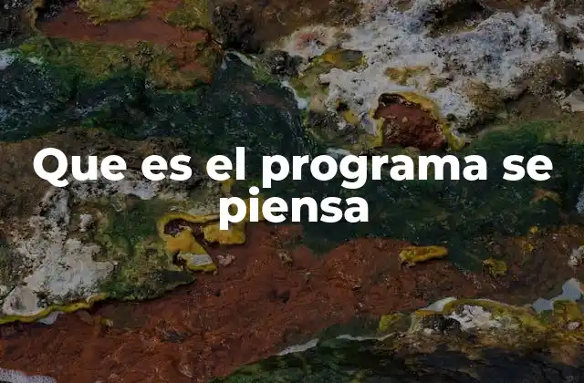Que es el Programa Se Piensa