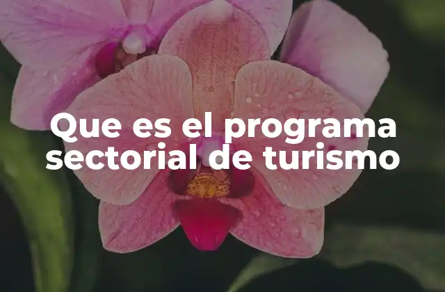 Que es el Programa Sectorial de Turismo