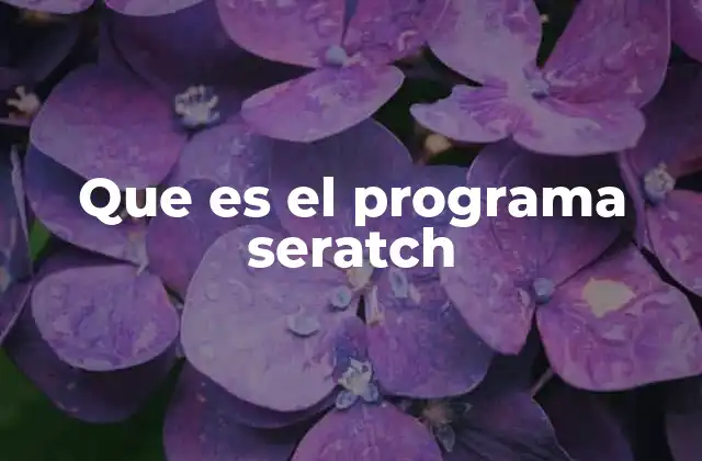 Que es el Programa Seratch