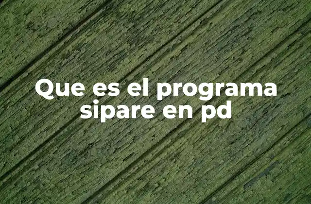 Que es el Programa Sipare en Pd