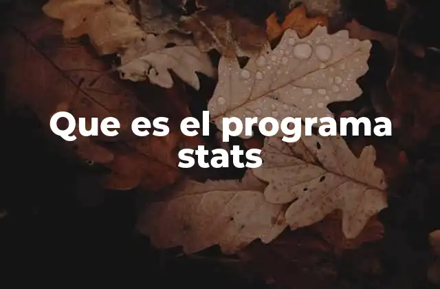 Que es el Programa Stats