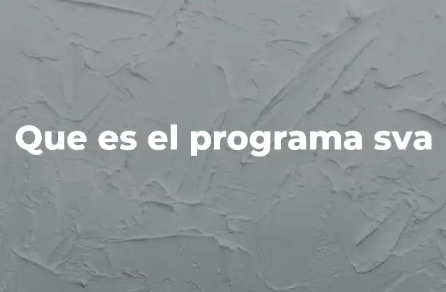 Que es el Programa Sva