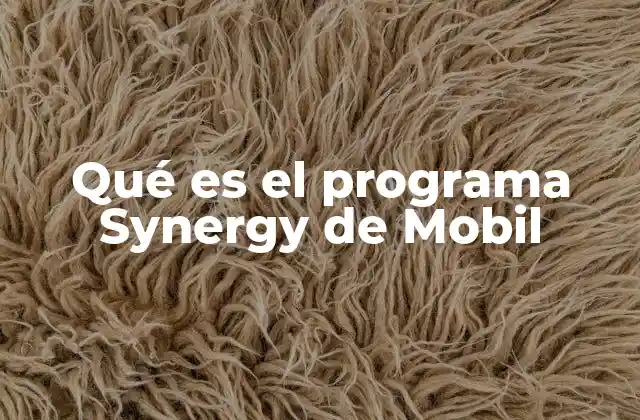 Qué es el Programa Synergy de Mobil