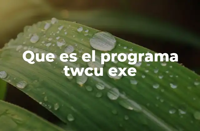 Que es el Programa Twcu Exe