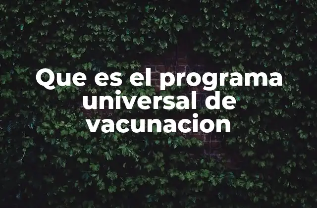 Que es el Programa Universal de Vacunacion