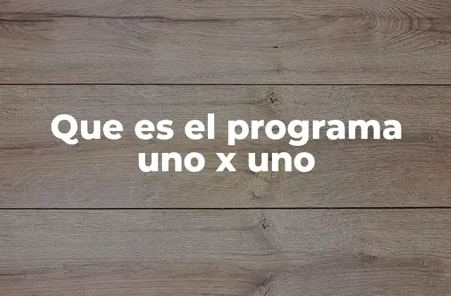 Que es el Programa Uno X Uno