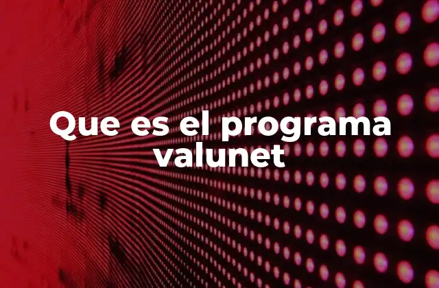 Que es el Programa Valunet