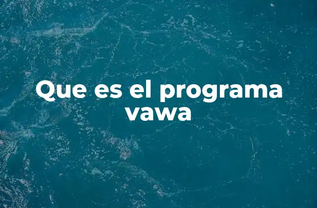 Que es el Programa Vawa