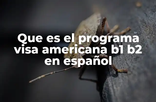 Características del programa visa americana B1 B2