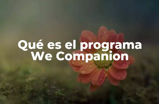 Qué es el Programa We Companion