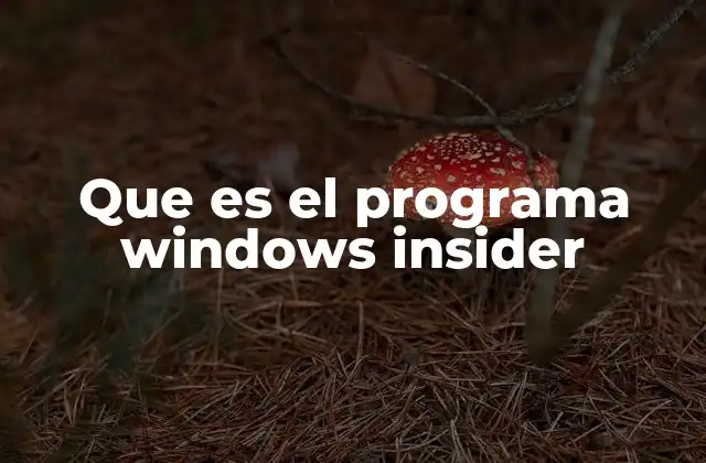 Que es el Programa Windows Insider